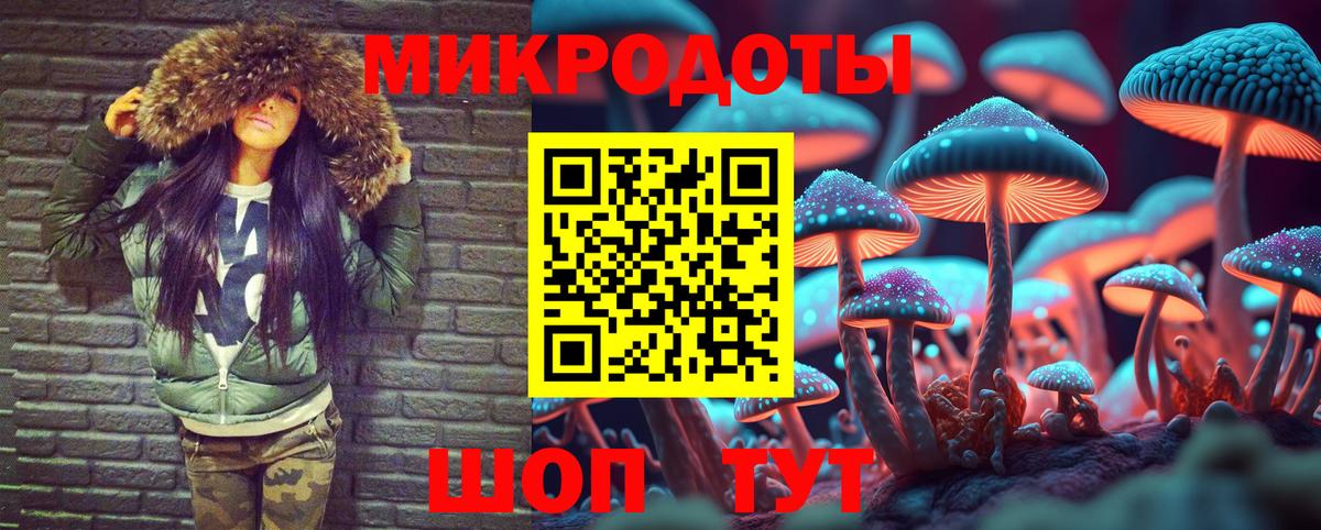 Псилоцибиновые грибы мицелий Темрюк