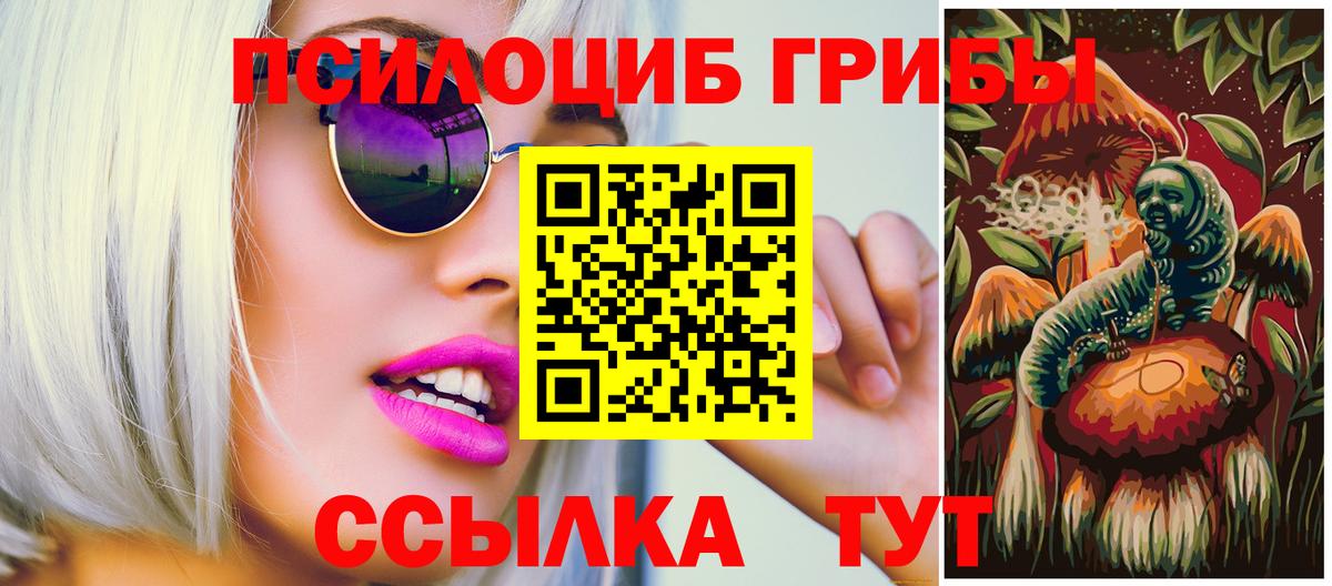 купить  сайты  Псилоцибиновые грибы MAGIC MUSHROOMS  Вход с VPN  Темрюк  Галлюциногенные грибы Psilocybine cubensis 